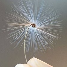 Схема вышивки «Розвиток»