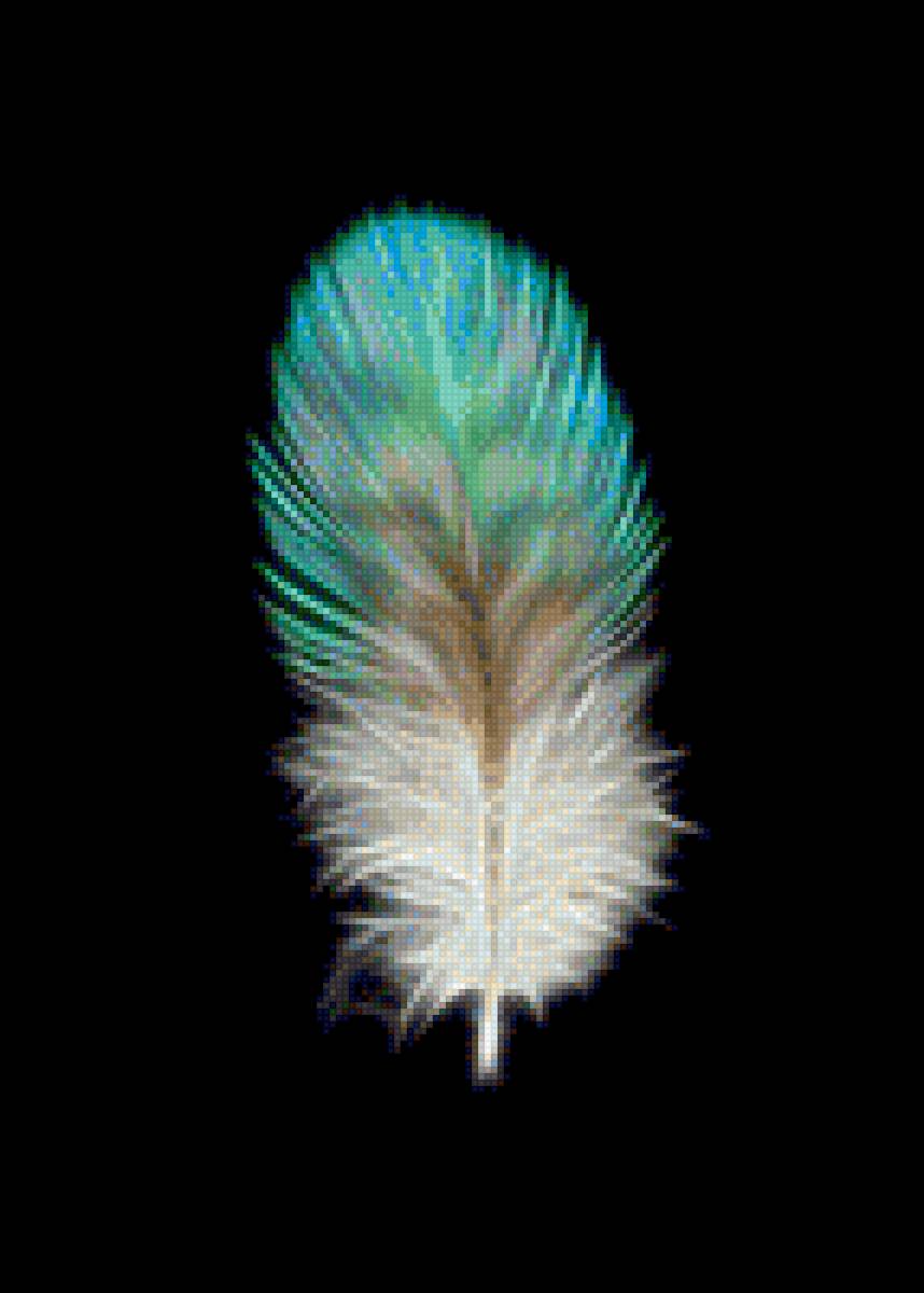 Пір'їнка - перо, один, черный, бирюза - предпросмотр