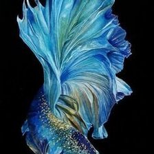 Схема вышивки «Риба»