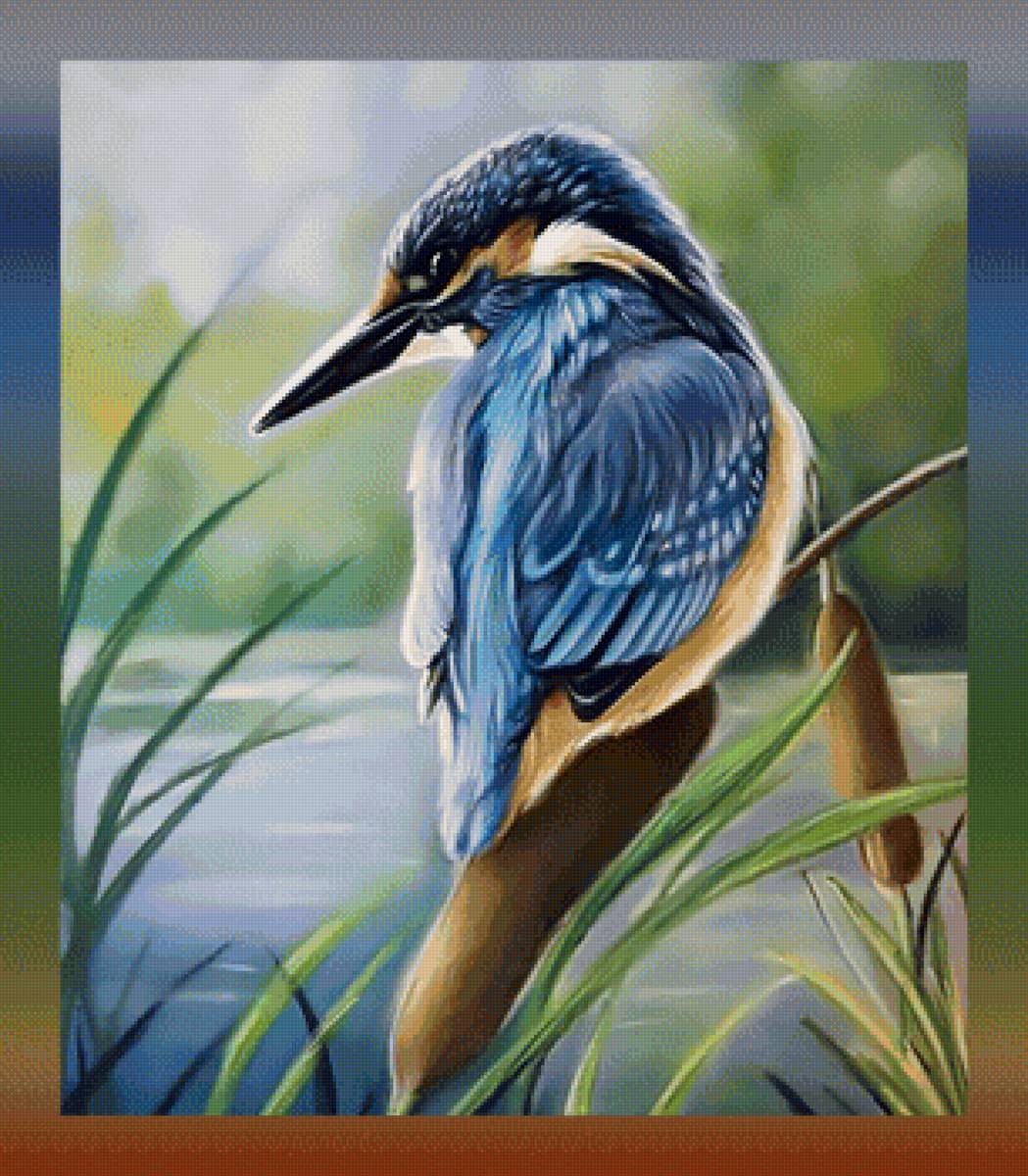 Птичка - птицы - предпросмотр