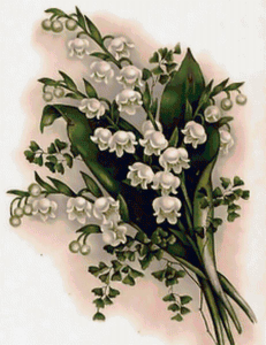 Ландыши4 - букет из ландышей весна - предпросмотр