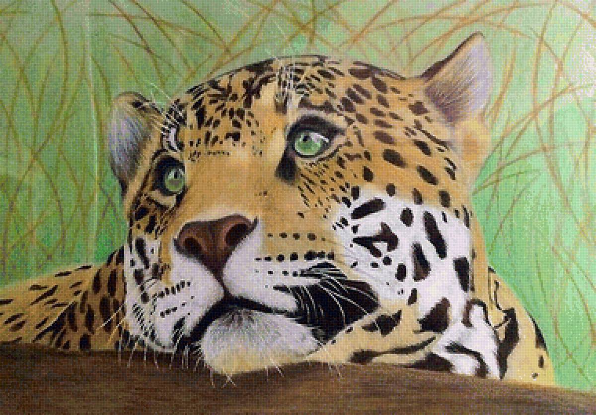 лео - мир животных - предпросмотр