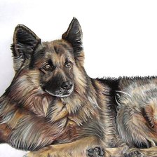 Схема вышивки «собака»