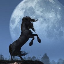 Схема вышивки «Лунная ночь»