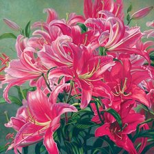 Схема вышивки «Pink Asiatic Lilies»