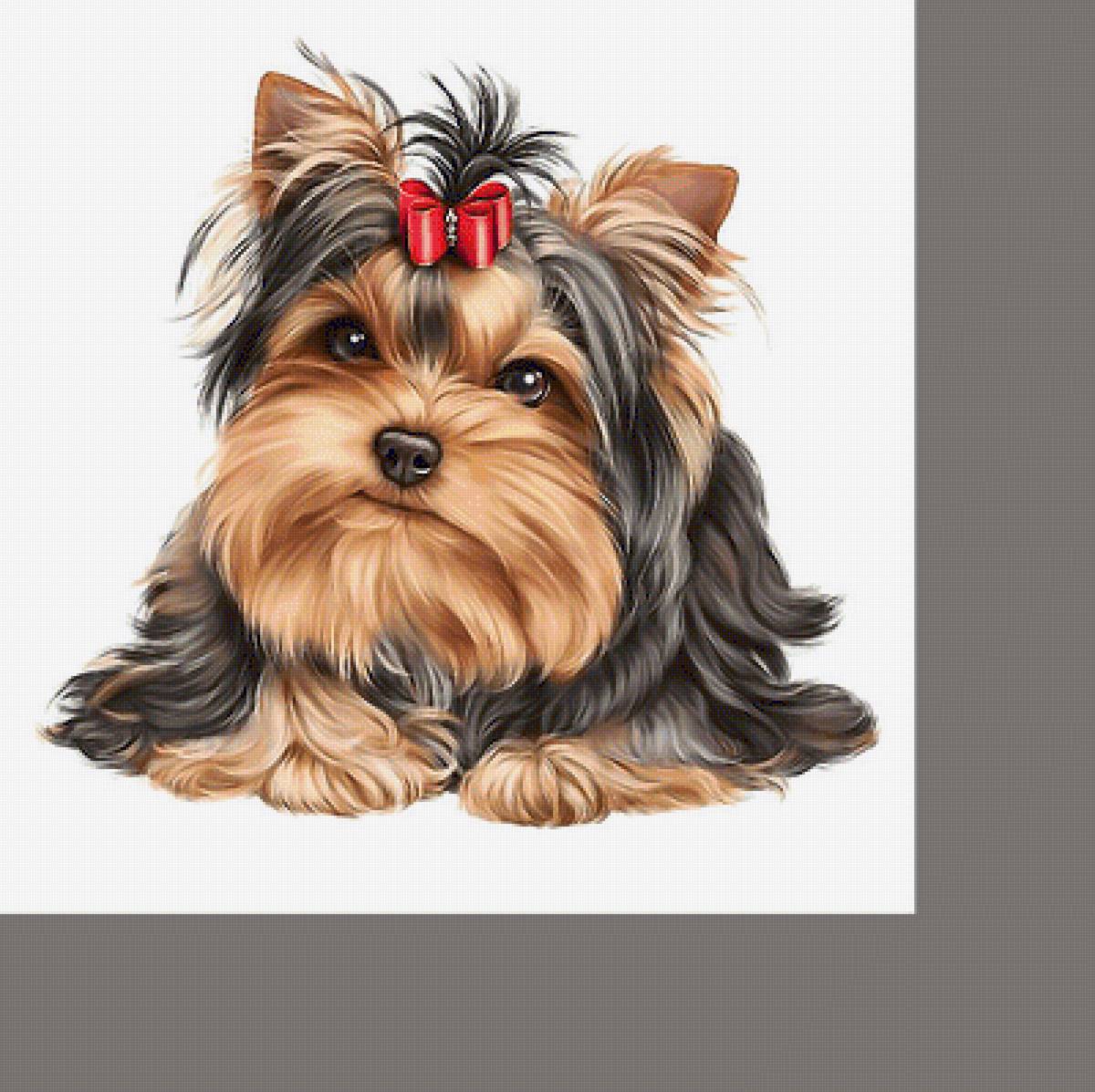 Серия "Собаки". - животные, собаки - предпросмотр