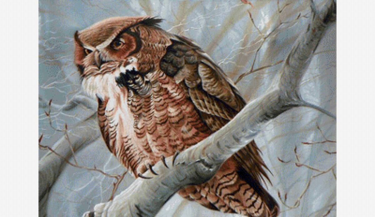 Филин - птицы на ветке, птицы - предпросмотр