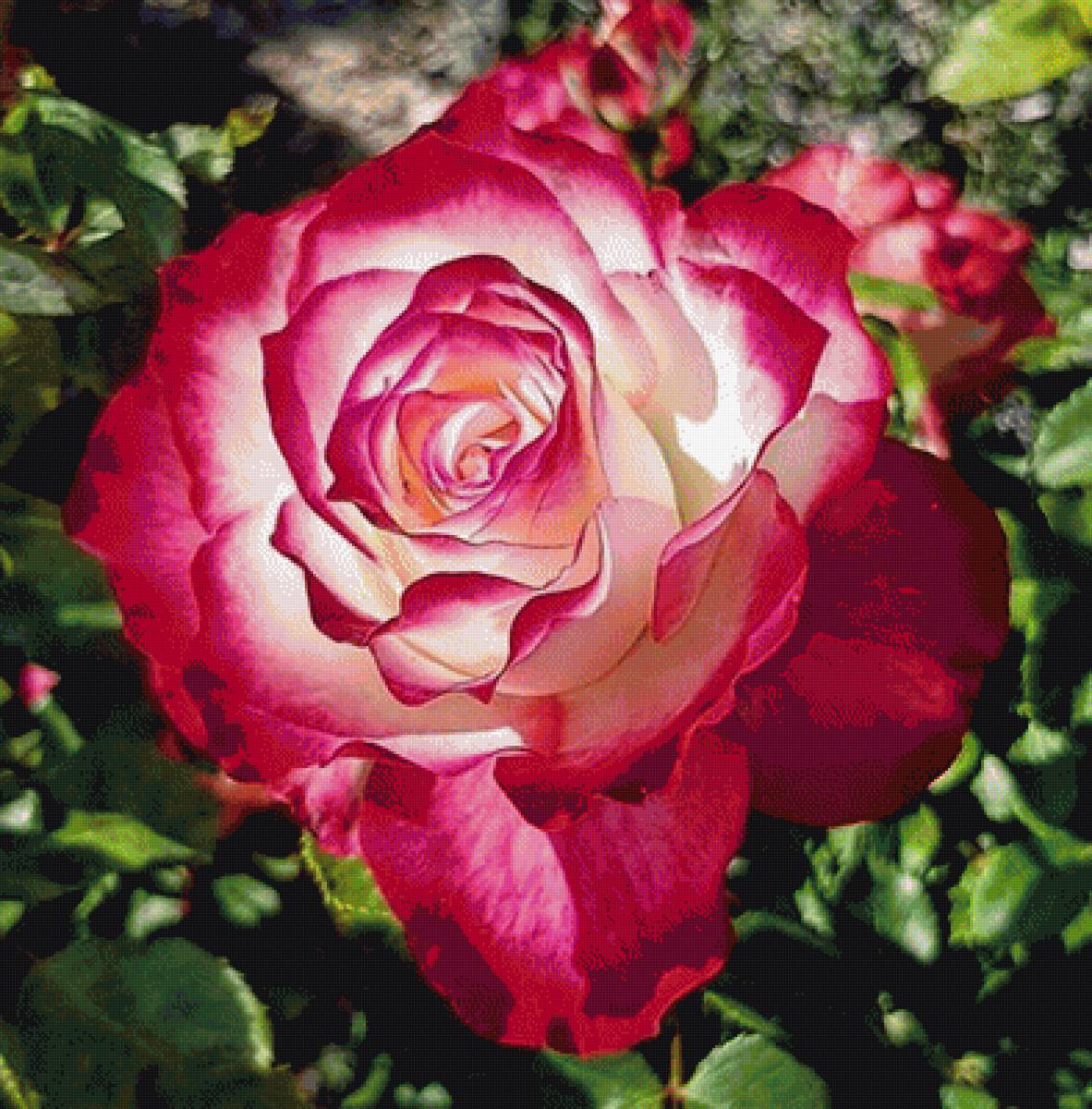 №1927930 - предпросмотр