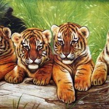 Схема вышивки «Тигрята»