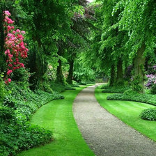 Схема вышивки «516»