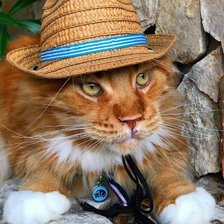 Схема вышивки «Джентельмен»