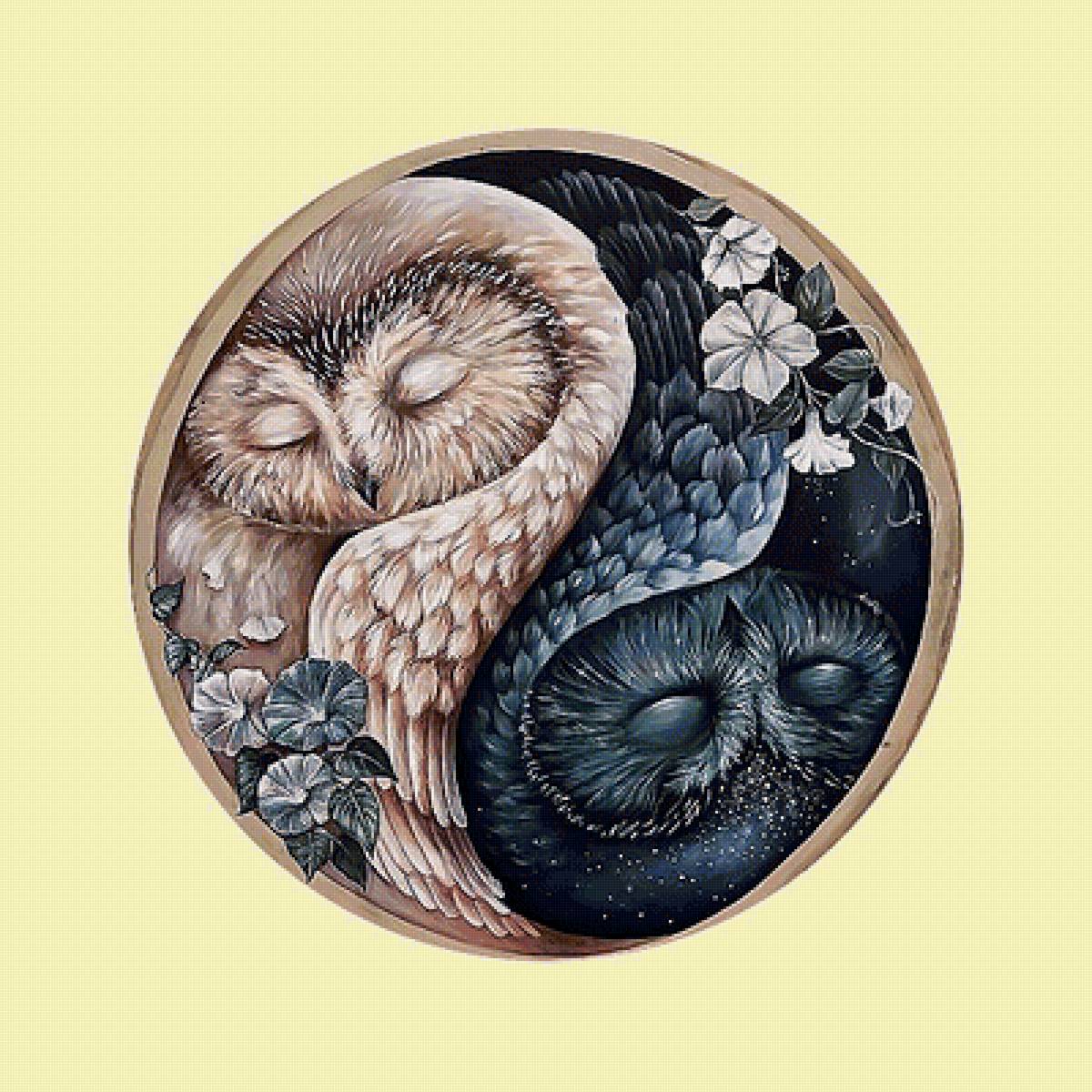 Серия "Совы". Инь и Янь - птицы, фауна, совы - предпросмотр