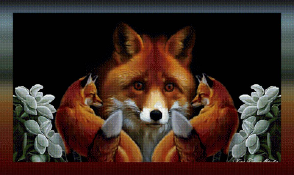 Лисы - дикие хищники лиса - предпросмотр