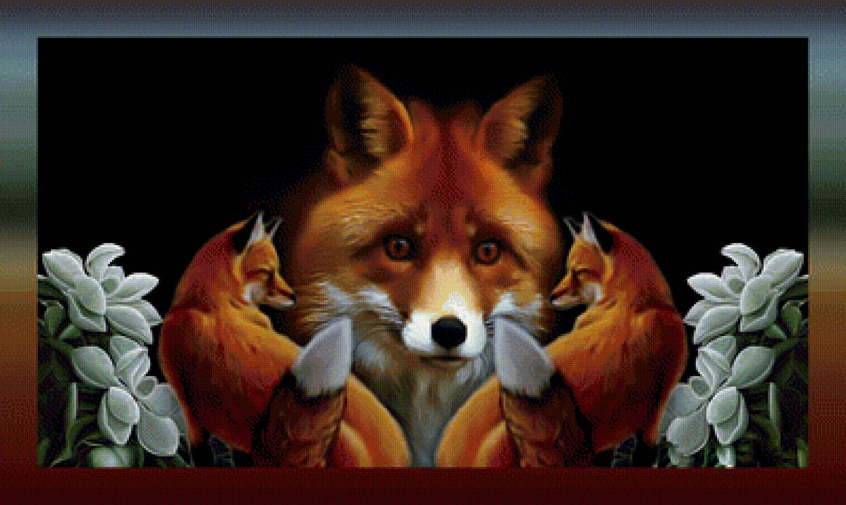 Лисы - дикий хищник лиса - предпросмотр