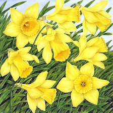 Схема вышивки «№1928719»