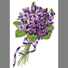 Схема вышивки «Серия "Фиалки"»