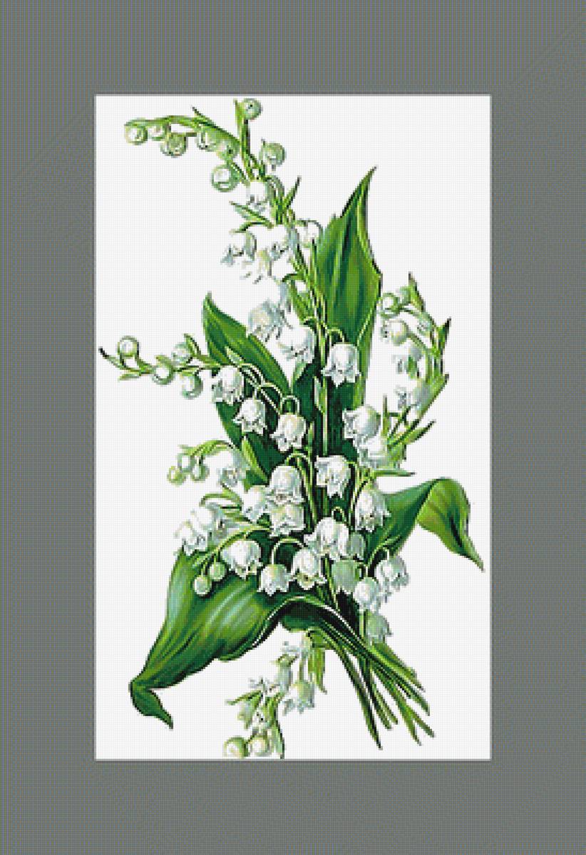 Серия "Букет". Ландыши - цветы, ландыши, флора, букет - предпросмотр