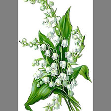 Схема вышивки «Серия "Букет". Ландыши»