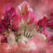 Схема вышивки «ДУШИСТЫЙ ГОРОШЕК»