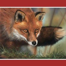 Схема вышивки «Лиса»