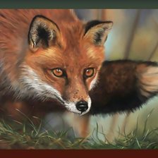 Схема вышивки «Лиса»