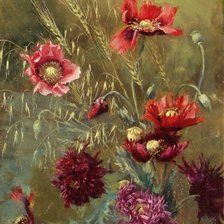 Схема вышивки «Маки и астры»