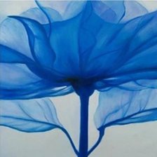 Схема вышивки «Fiore blu»