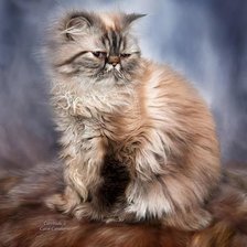 Схема вышивки «KOT»