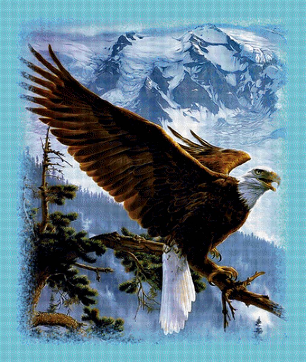 На вершине мира. - орел горы вершины снег дерево небо - предпросмотр