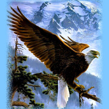 Схема вышивки «На вершине мира.»