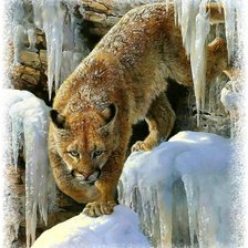 Схема вышивки «Пума»