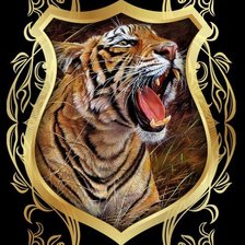Тигр