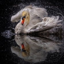 Схема вышивки «лебедь»