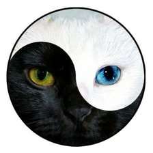 Схема вышивки «Gatti»