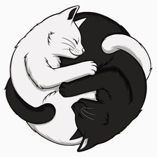 Схема вышивки «Gatti»