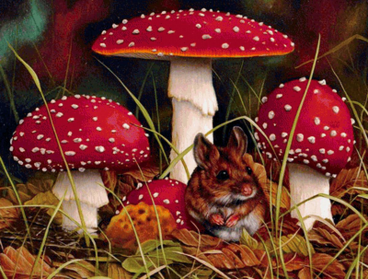 Лето - лес, лето, мышь, гриб, арт - предпросмотр