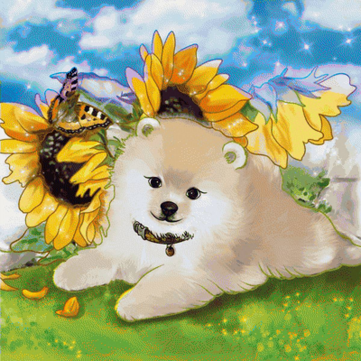 Шпиц и подсолнухи - предпросмотр