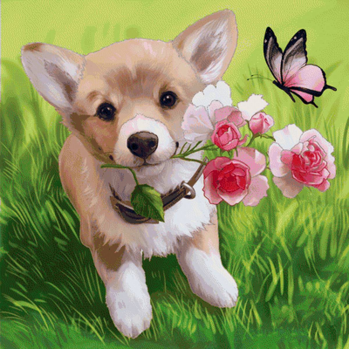 Корги с цветами - предпросмотр