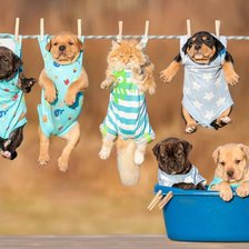 Схема вышивки «Большая стирка»