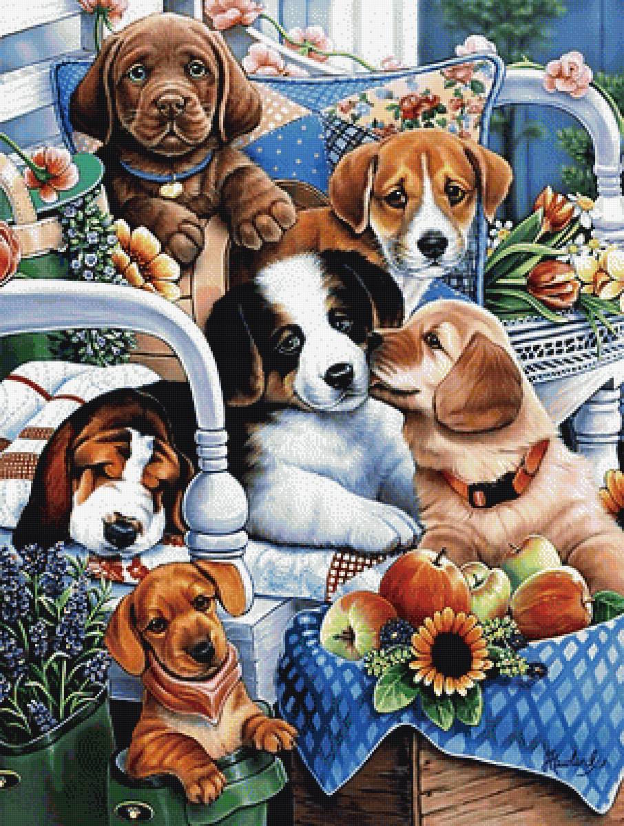 Щенята - предпросмотр