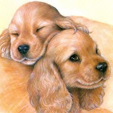 Схема вышивки «Щенки английского кокер-спаниеля»