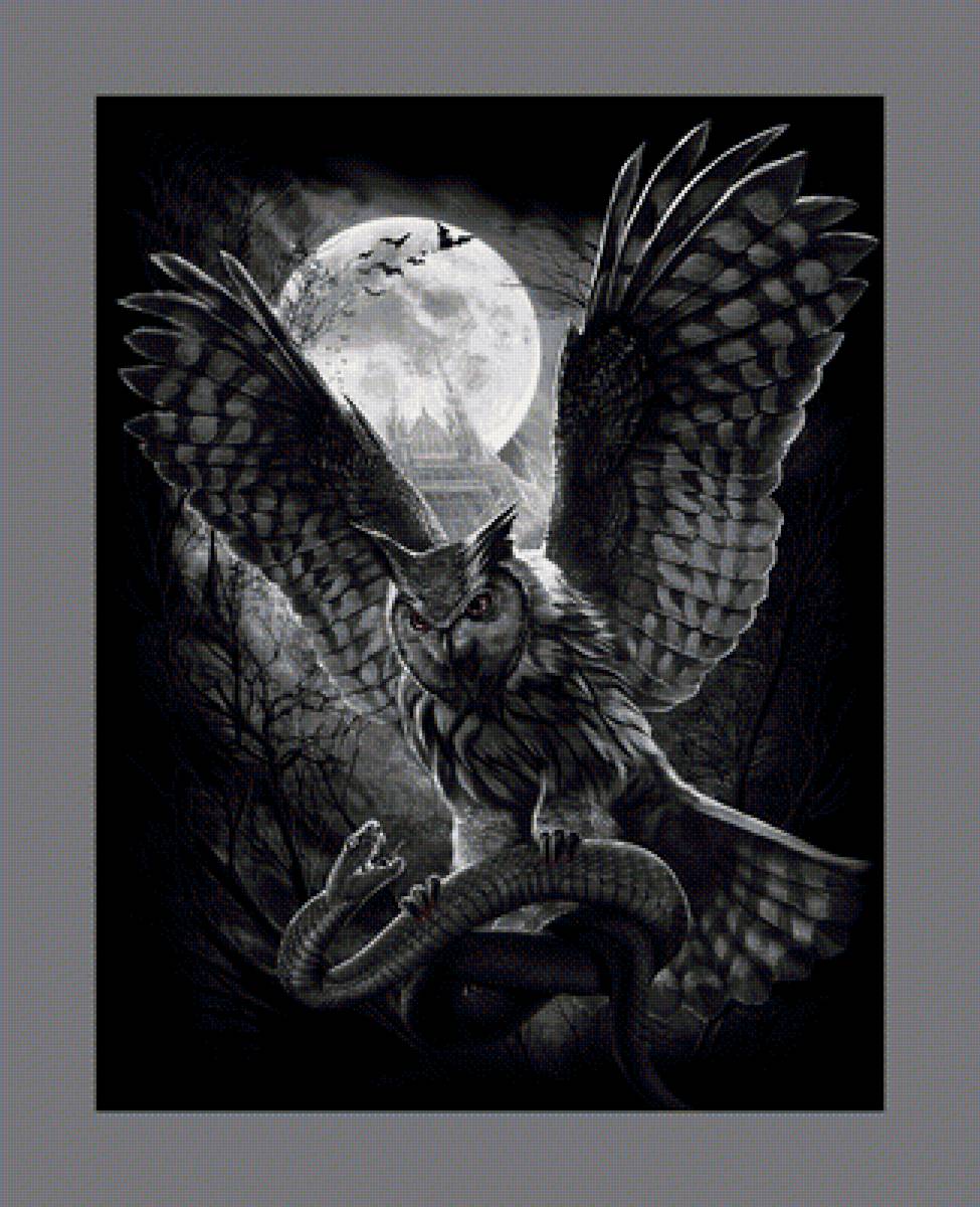 Сова - животные, совы, птицы - предпросмотр