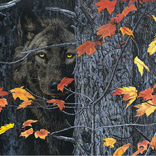 Схема вышивки «Волк»