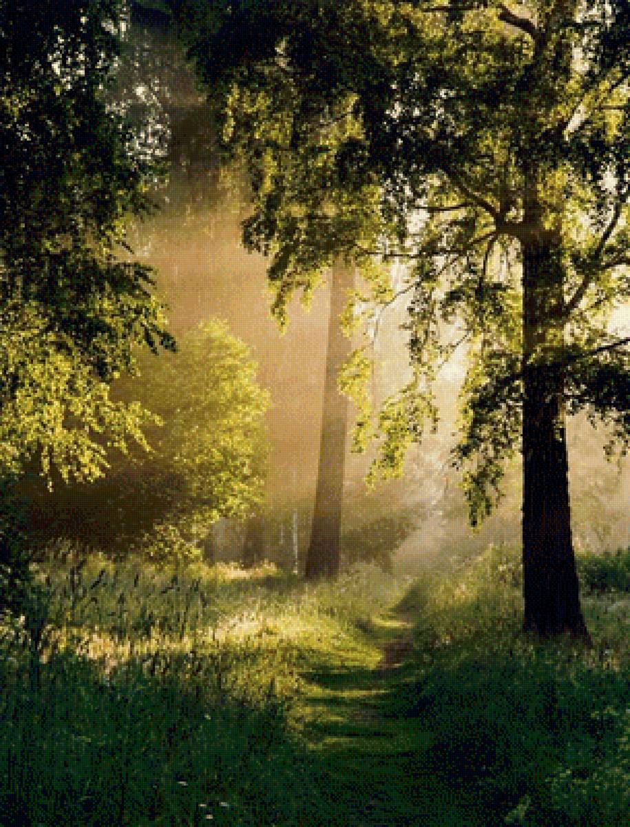 Тропа - природа, пейзаж - предпросмотр