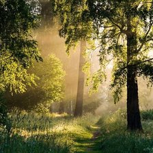 Схема вышивки «Тропа»