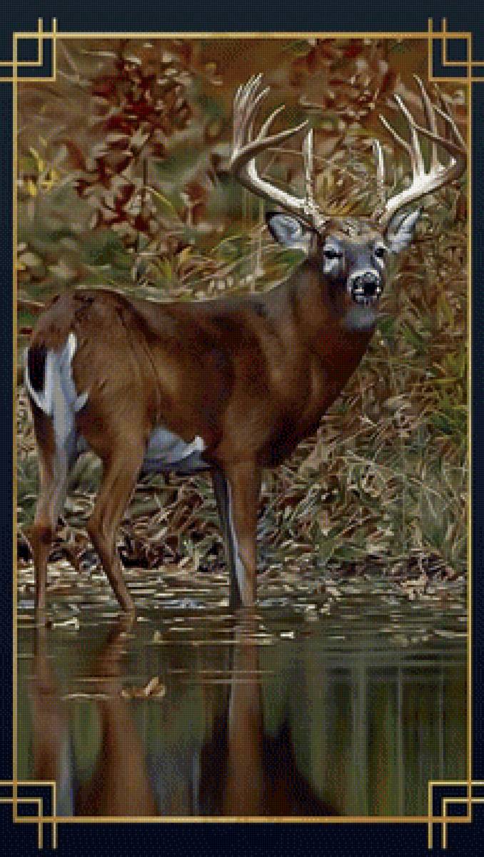 Олень2 - олень лес животные - предпросмотр