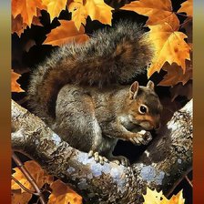 Схема вышивки «Белочка. Осень.»