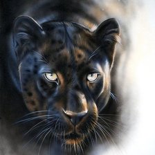 Схема вышивки «дикие»