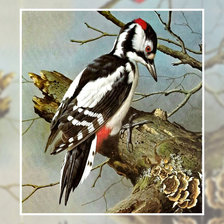 Схема вышивки «Дятел»