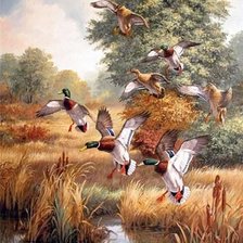 Схема вышивки «Утки»